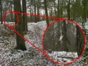 Bigfoot entdeckt?!