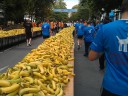 70.000 Bananen