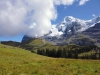 Jungfrau Marathon 2014
