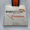 2011_mannheim_hm