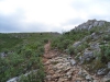 Steinige Wege